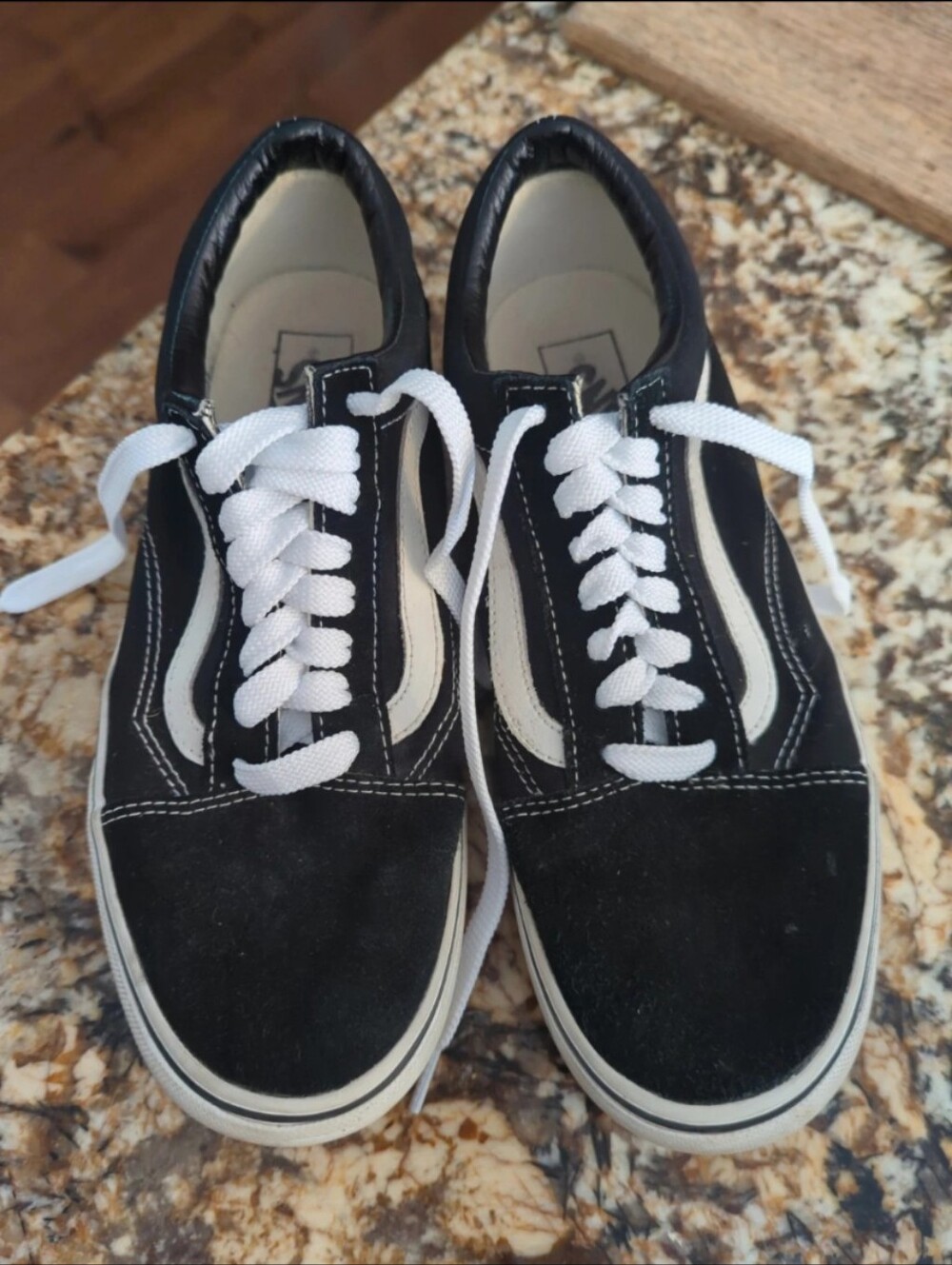 Vans Black and White Low-Top Skate Sneakers